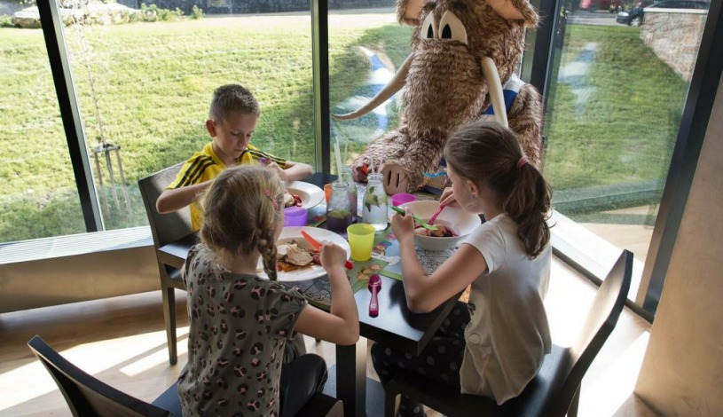 Wellness hotel Vista Dolní Morava